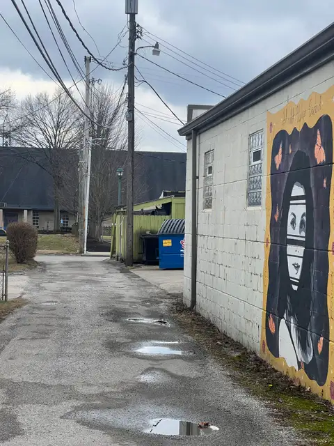 Gritty alley, vibrant art.